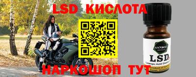 индика Абинск