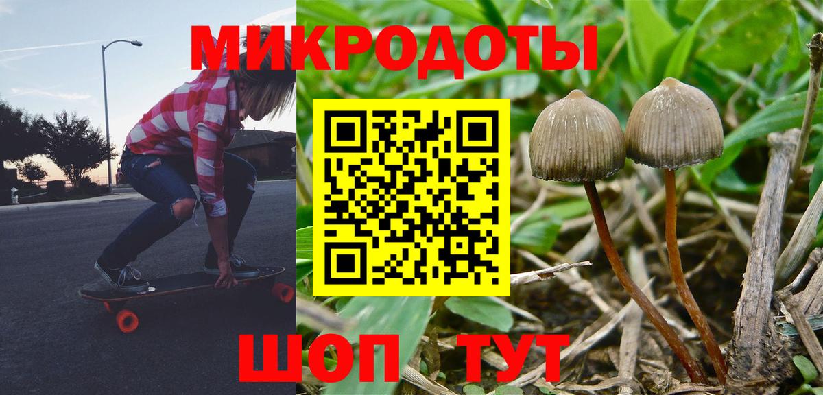 Псилоцибиновые грибы Psilocybe  Вход с VPN  Алейск 